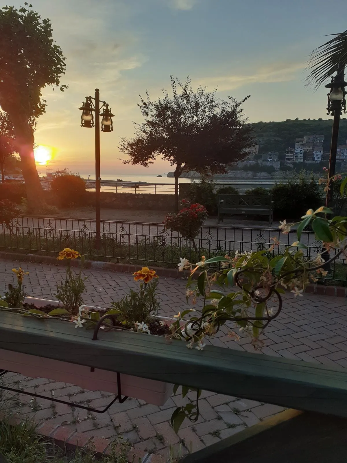 Amasra sahil promenadında gün batımı: sokak lambaları, ağaçlar ve ufukta batan güneş