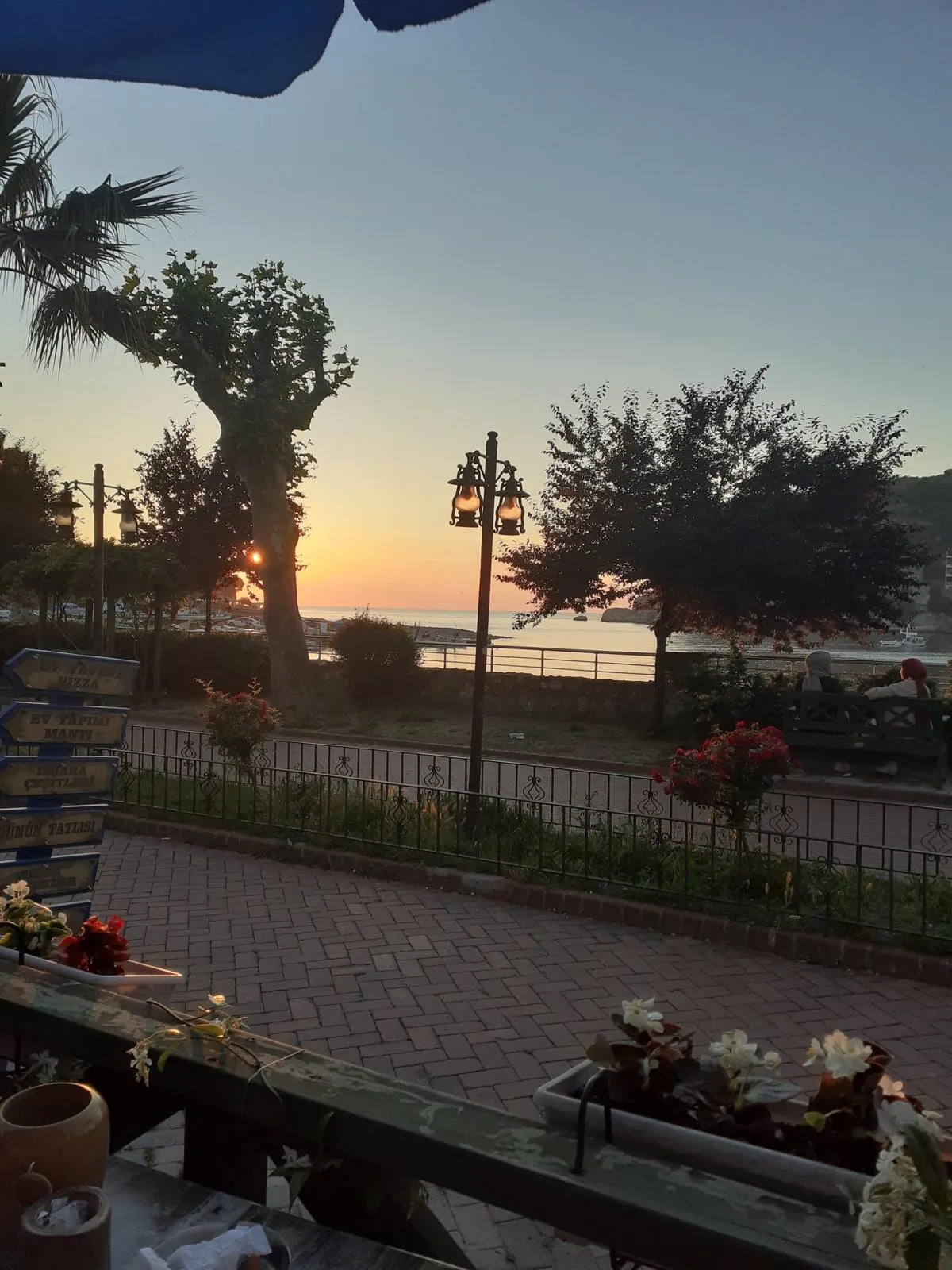 Amasra sahilinde akşam: ağaçların arasından batan güneş ve deniz