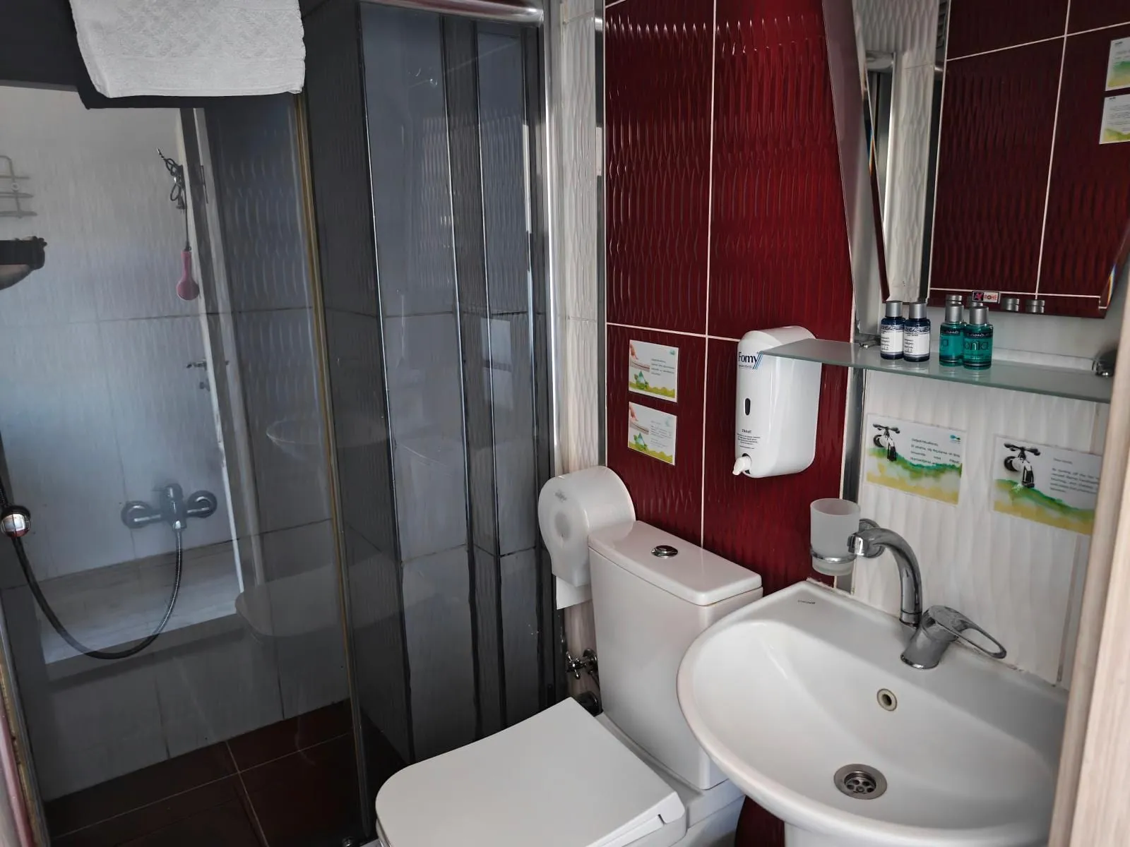 Lüks oda banyosu: cam duşakabin, lavabo, klozet ve bordo duvar paneli